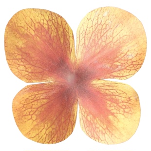 3D打印手感仿真绣球花片 仿真花假花diy手作材料婚庆花墙布景装饰