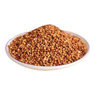 京都矮杆红粮矮杆酒糯高粱红高粱种子早熟东北酿酒高粱籽抗病抗倒