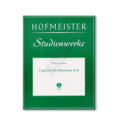 卡瓦利尼随想曲B调单簧管独奏