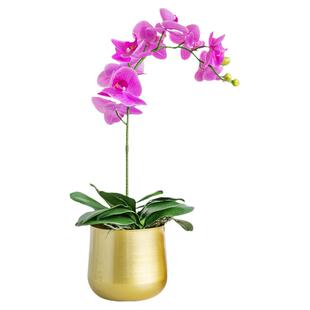 北欧轻奢金属兰花花盆铁艺圆形福桶花瓶容器家居装饰花器桌面摆件