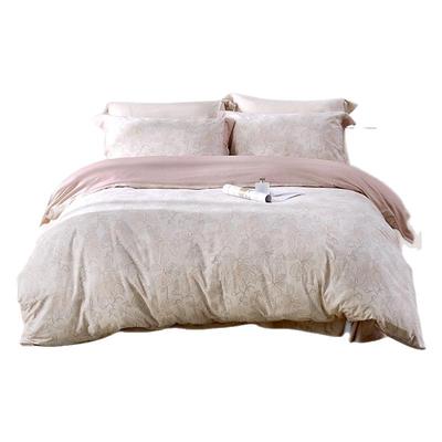 远梦纯棉加厚磨毛四件套