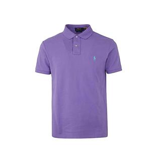 【早秋新品】Polo Ralph Lauren拉夫劳伦 男款logo刺绣polo衫 迷
