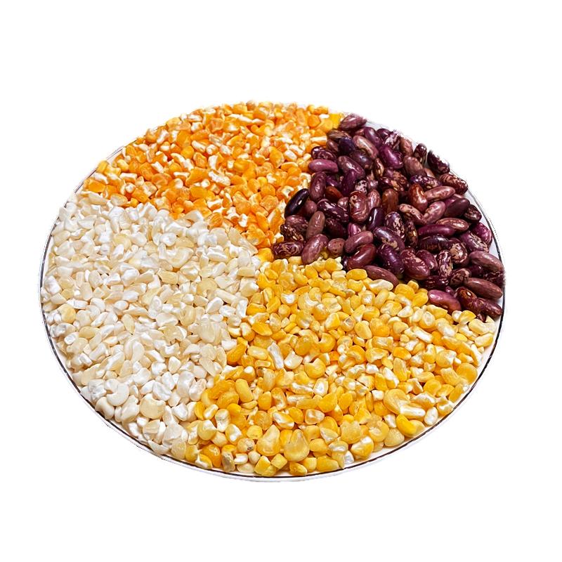 东北大碴子组合24年农家新货大粒笨黄粘黄糯白玉米糁紫花芸豆搭配