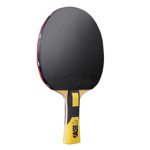官方正品友谊729乒乓球拍专业级碳素兵乓球拍省队奔腾2胶皮套装