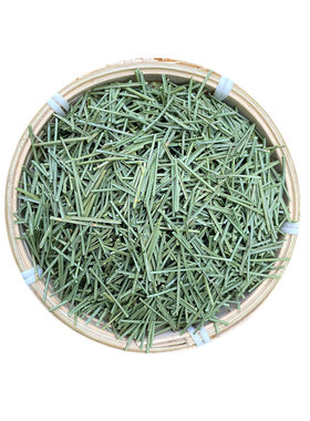 秦岭野生松针茶马尾松针茶中药材