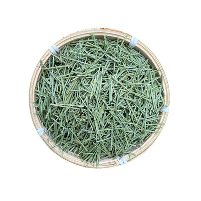 秦岭野生松针茶马尾松针茶中药材