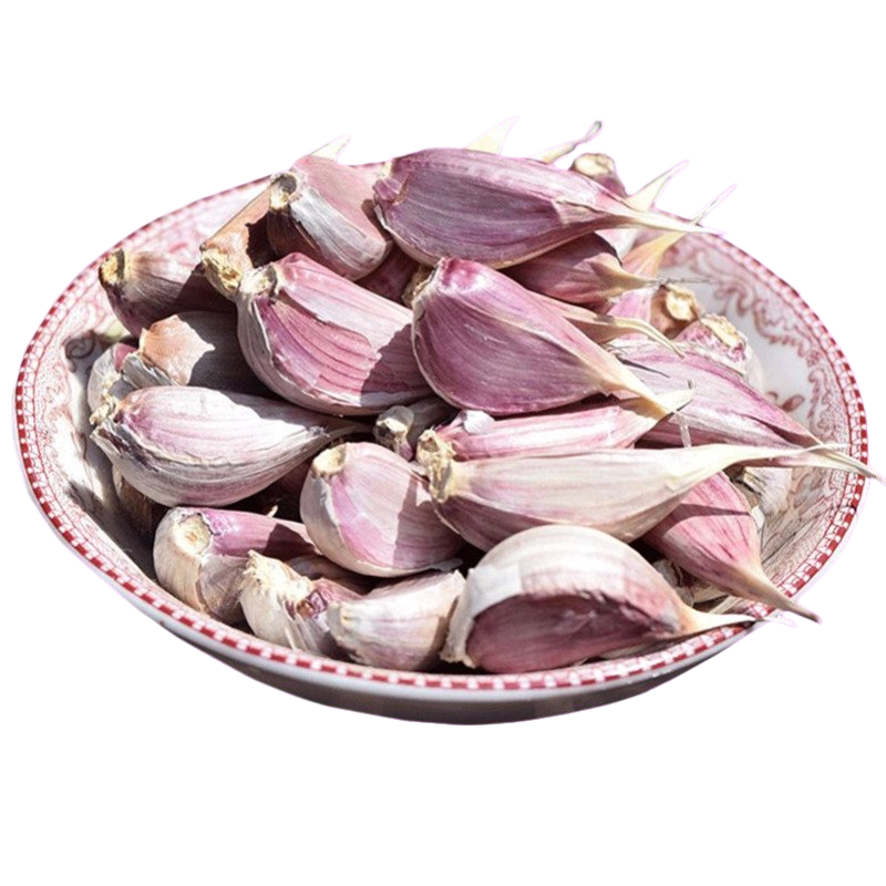蒡蒡康紫皮蒜瓣饱满香辣