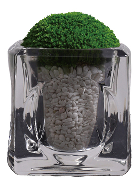 样板间青苔摆件软装花艺