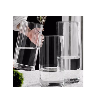 雪柳花瓶插花摆件马醉木水培植物干枝富贵竹龙柳专用透明玻璃瓶