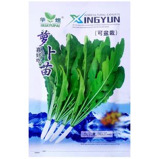 真好吃萝卜苗种子专吃萝卜叶子芽菜种籽农家菜园阳台盆栽青菜蔬菜