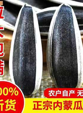 内蒙古巴彦淖尔精挑色选版无添加25年炒货363原味熟瓜子袋装