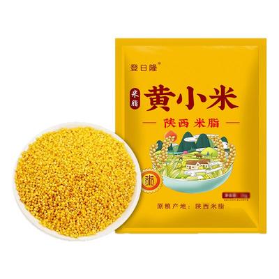 农家自产小米黄小米煮粥香糯软滑营养丰富优质黄小米粥早餐粥