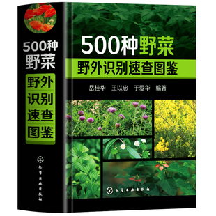 精装】正版 500种野菜野外识别速查图鉴 野菜识别特征实用方法 中医草药材识别图大全 野外认采中草药有毒植物识别图集 植物学书籍