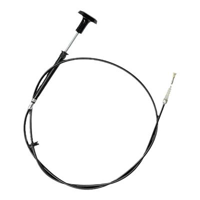 依维柯拉线都灵V宝迪得意