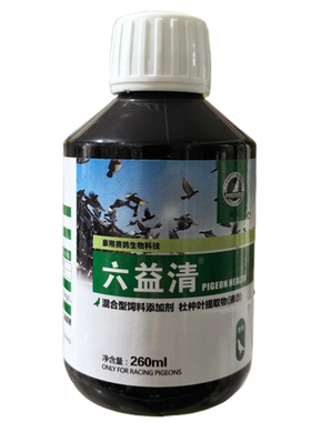 豪翔六益清水+片/赛鸽信鸽子