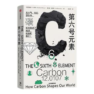 第六号元素 西奥多 P  斯诺等 著 简洁 深刻 震撼 宏大的碳元素全景式科普 Choice2024年度杰出学术著作 中信出版