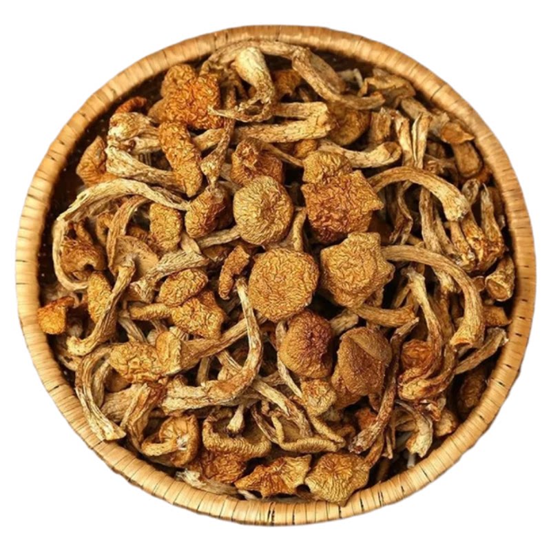 新货东北特产滑子菇滑子蘑菇干货滑菇小黄蘑小鸡炖蘑菇500g
