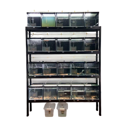 多层鱼缸架子高承重水族馆鱼房架