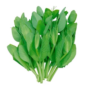 新鲜豌豆尖豌豆苗蔬菜菜火锅贵州豌豆苗豌豆尖新鲜贵州豌豆尖