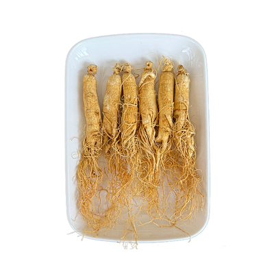 人参种子长白山野山参子