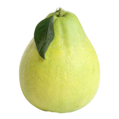 正宗江永香柚纯甜沙田柚老树柚子不酸不苦湖南永州湘超冠军推荐柚