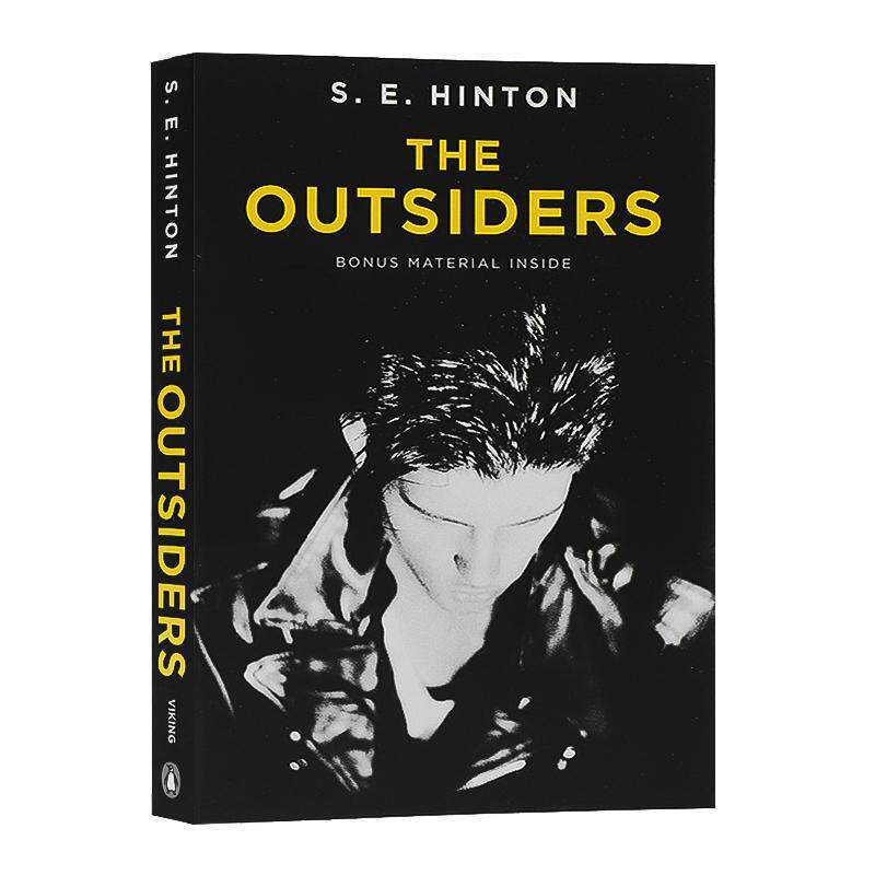 局外人The Outsiders 英文原版小说追逐金色的少年 常青藤国际大奖S.E.Hinton 苏珊埃洛伊斯 聚焦青少年成长课外英语读物学校推荐