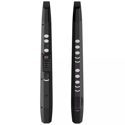 电吹管乐器老年萨克斯一学就会