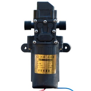 12V伏农用电动喷雾器水泵电机高压打农药机配件双核大功率自吸泵