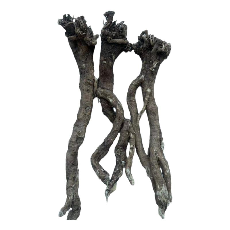 野黄芪干货正品无硫正北芪新货煲汤泡水煮水甘肃岷县原产地直发