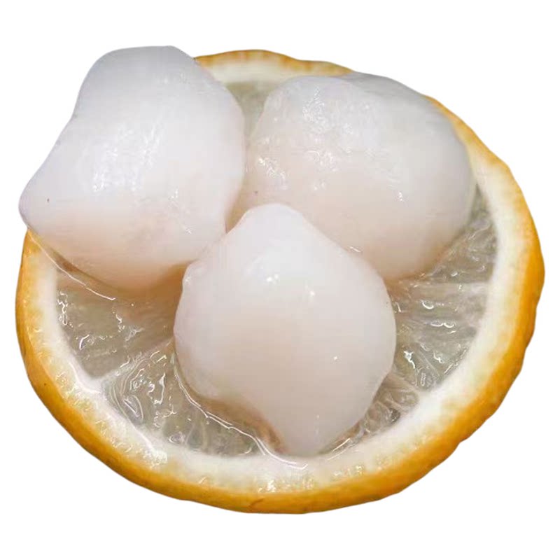 扇贝柱新鲜现剥冷冻瑶柱