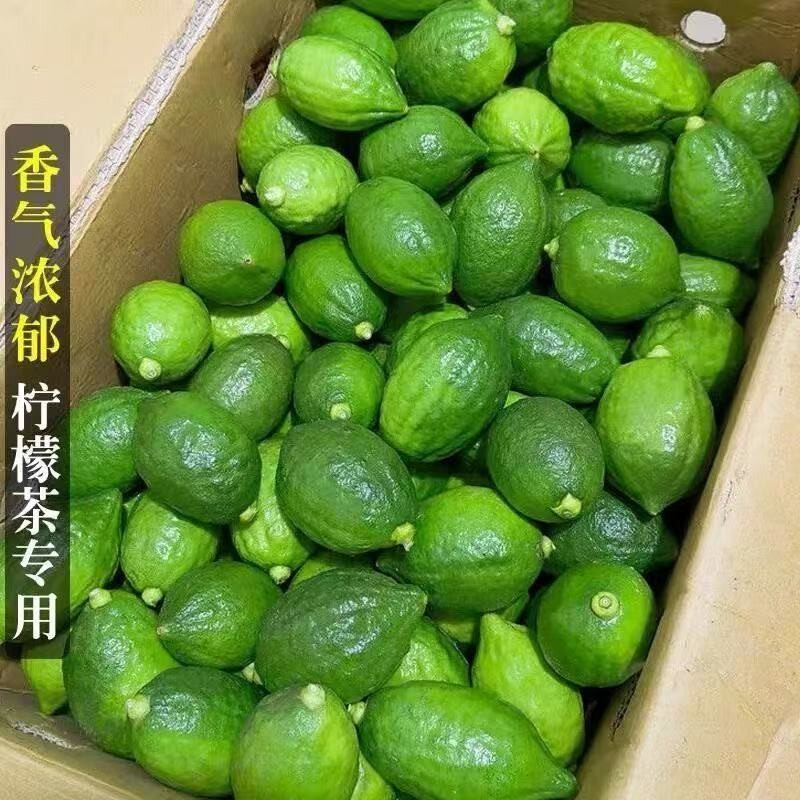 苒彩现摘新鲜无籽广东香水柠檬二级果爆香一级果香浓郁奶茶店专用