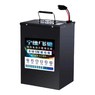 电动车磷酸铁锂电池60V30A40A60A外卖快递二轮大容量国轩锂电池