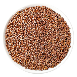 莱菔子中药材500g正宗炒白萝卜籽中药生莱菔子磨粉新货来服子泡茶