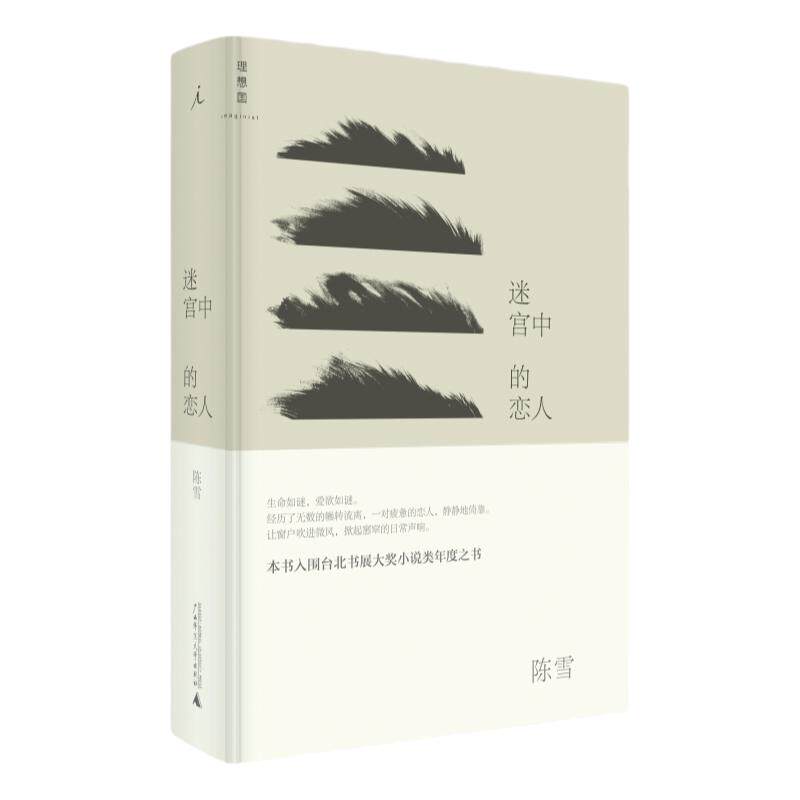 八成新 迷宫中的恋人 陈雪  台北书展大奖小说类年度之书，台湾女作家、“拉拉女神”陈雪自传体长篇巨制 文学 理想国