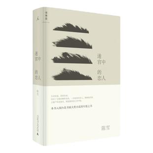 八成新 迷宫中的恋人 陈雪  台北书展大奖小说类年度之书，台湾女作家、“拉拉女神”陈雪自传体长篇巨制 文学 理想国