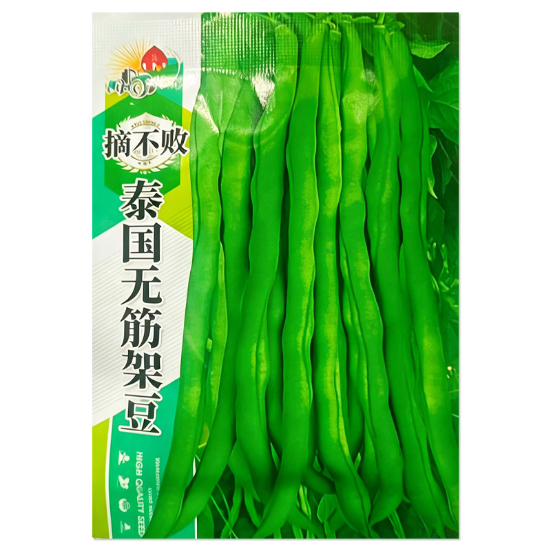 泰国无筋架豆种子蔬菜种子