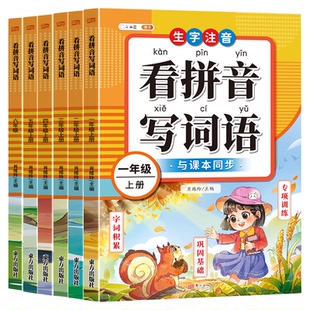 斗半匠看拼音写词语一年级上册下册三四五六年级二年级下人教版小学语文同步练习册每日一练生字注音练习默写拼读能手拼音专项训练