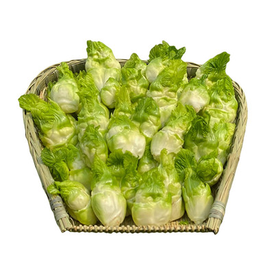 四川新鲜儿菜当季农家自种