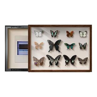 真蝴蝶标本电表箱盒遮挡装饰画2026新款高级感配电箱电闸遮丑挂画