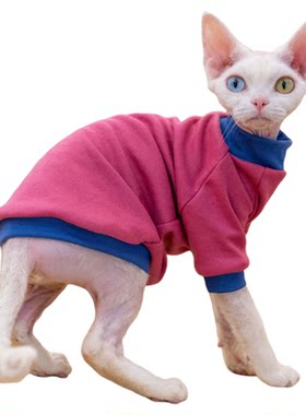 GINGERAIN 面料超级好!夏季打底衫德文猫衣服无毛猫保暖撞色棉T恤
