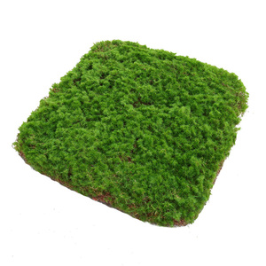 苔藓皮苔藓块青苔植绒摆件软装造景假山草皮草坪毛石头仿真苔藓块