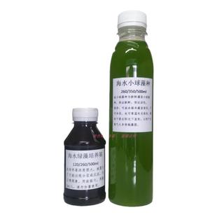 海水小球藻复合藻扩培套装绿水藻种培养基调水养殖肥水高效培藻