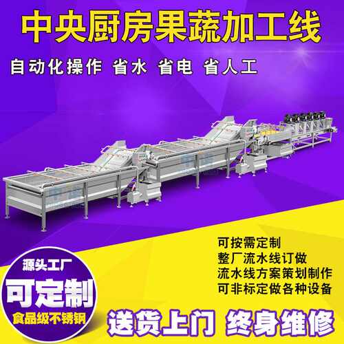 葡萄清洗加工线 葡萄柚清洗风干流水线  商用清洗榨汁设备厂家