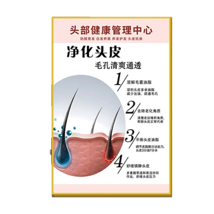 头皮检测管理海报宣传广告头疗养发墙面装饰画美容院毛囊抗衰挂画