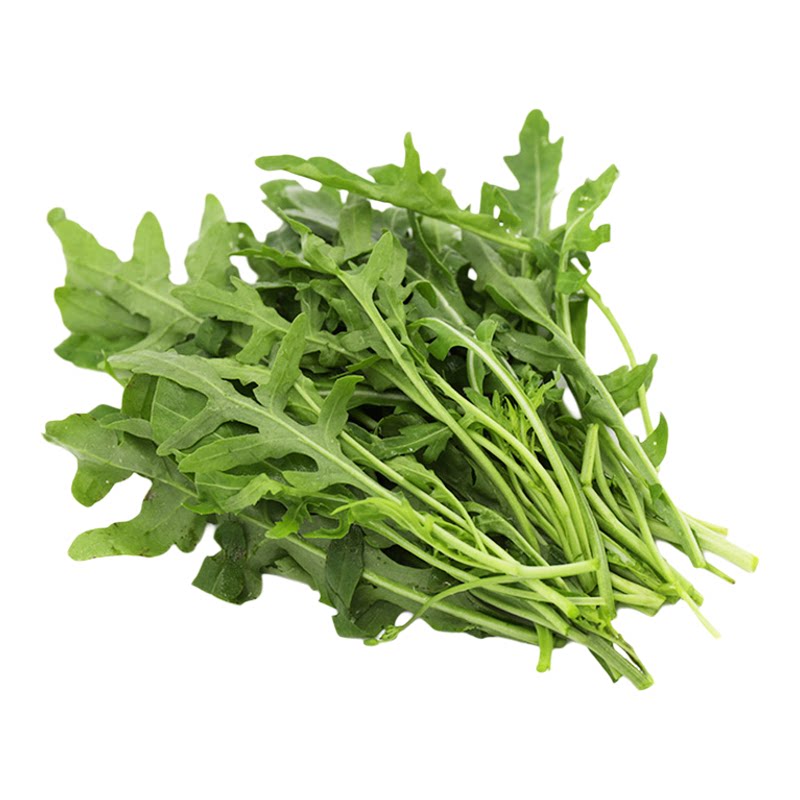 新鲜芝麻菜轻食沙拉蔬菜食材蔬菜