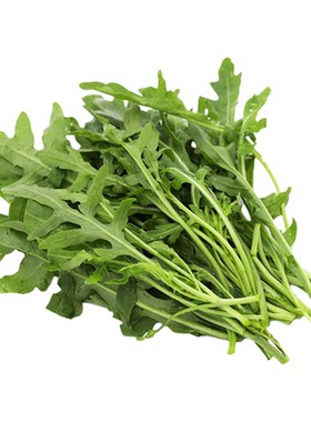 新鲜芝麻菜轻食沙拉蔬菜食材蔬菜