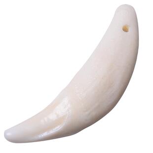 真品天然黑狗牙吊坠狗牙齿项链真正狗牙婴儿男女随身情侣犬牙挂件