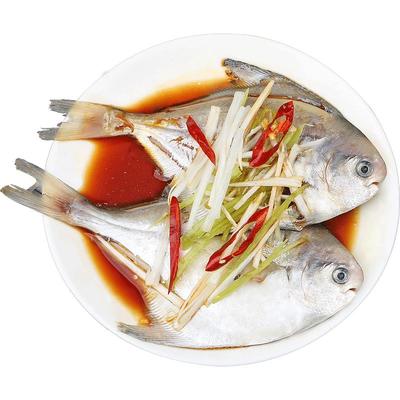 限时抢5斤无冰大号海捕大号鲳鱼