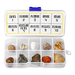 桶装】四年级科学下册小学生岩石标本与矿石标本土壤科学课学生用矿物石头教具花岗岩科普观察实验材料套装B1