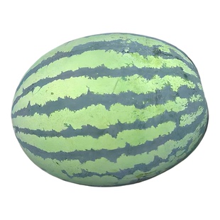 早熟8424西瓜种籽孑高产四季超甜薄皮麒麟果特大懒汉美都西瓜种子